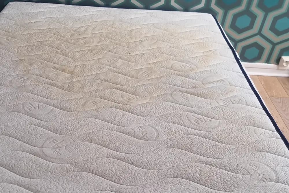 Surface d'un matelas double entièrement jaunie par des années de transpiration, avant nettoyage
