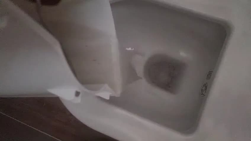 Eau grise vidée de la cuve de la machine après le nettoyage d'un matelas